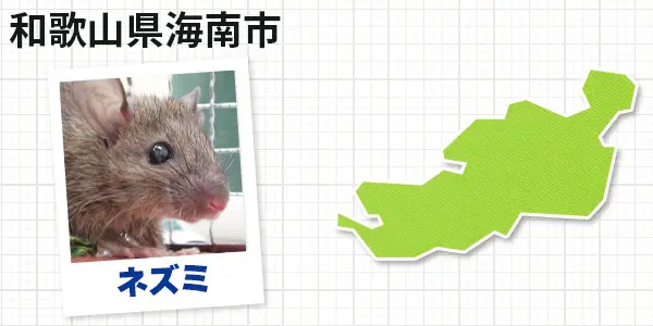 和歌山県海南市のネズミ駆除 お客様の声①
