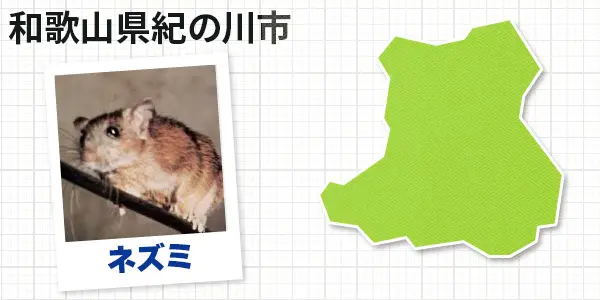 和歌山県紀の川市のネズミ駆除 お客様の声②