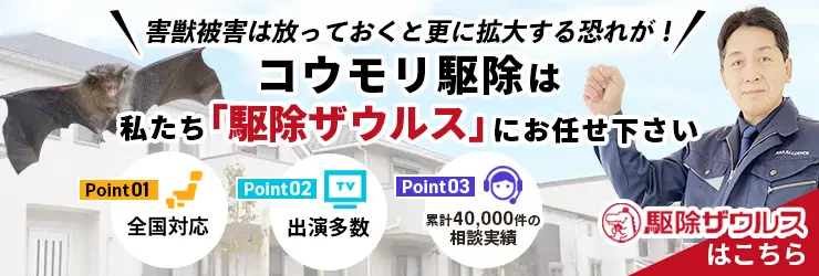 コウモリ駆除は専門駆除業者駆除ザウルスへ001