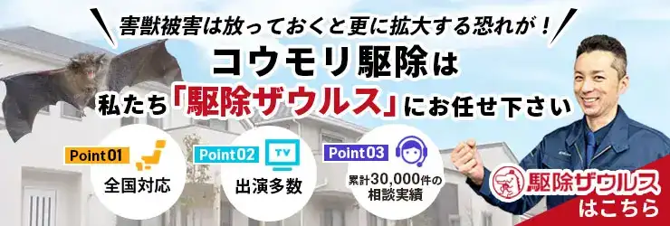 コウモリ駆除は専門駆除業者駆除ザウルスへ001