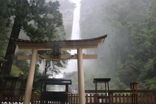 和歌山県のコウモリ駆除・退治那智の滝6