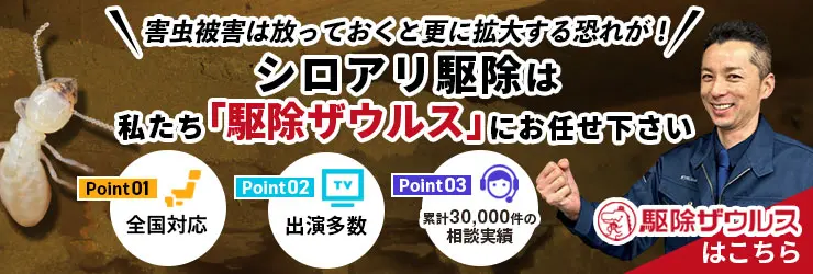シロアリ駆除業者【駆除ザウルス】