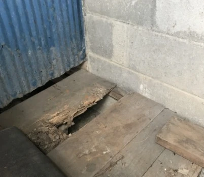 効果的なシロアリの防蟻処理とは シロアリ2