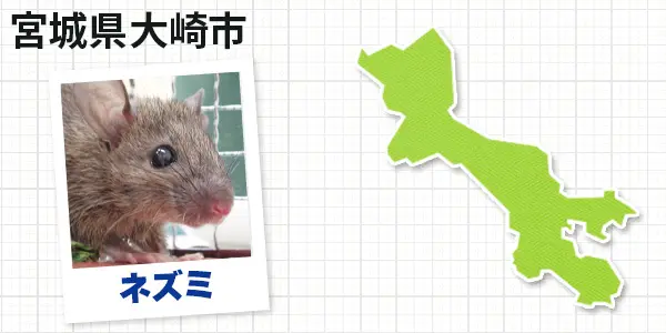 宮城県大崎市の害獣駆除 お客様の声②