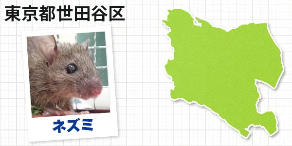 東京都世田谷区のネズミ駆除 お客様の声①