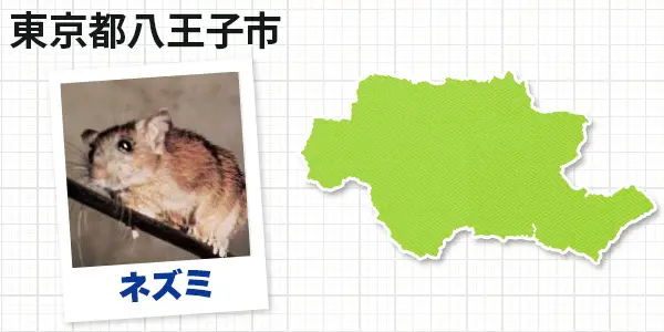 東京都八王子市のネズミ駆除 お客様の声②