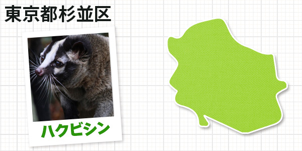 東京都杉並区のハクビシン駆除 お客様の声①