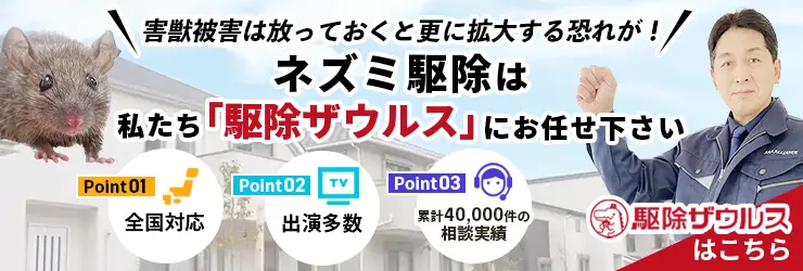 ネズミ駆除に使う超音波駆除器は効果がある?人体への影響は? ネズミ駆除001