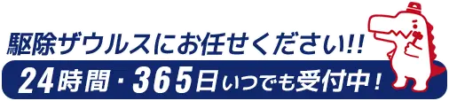 駆除ザウルスにお任せください！24時間・365日いつでも受付中！