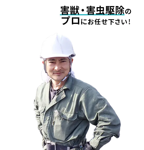 害獣・害虫駆除料金のご案内　駆除のプロ