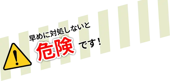 害獣・害虫駆除料金のご案内 早めに対処しないと危険