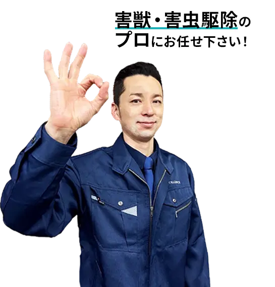 害獣・害虫駆除料金のご案内 駆除のプロ