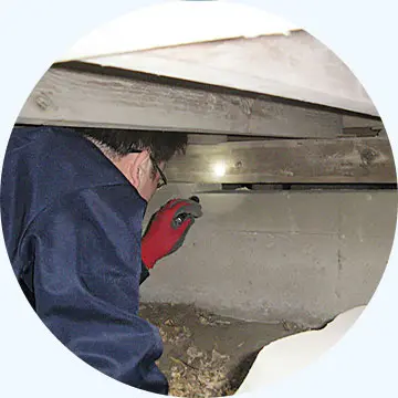 害獣・害虫駆除業者　電話相談窓口　現地調査、お見積もり