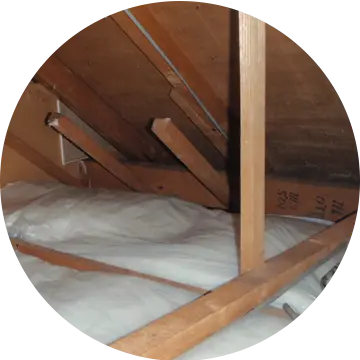 害獣・害虫駆除業者　電話相談窓口　二次被害対策（糞の清掃除去、修繕・復旧工事、各種消毒など）