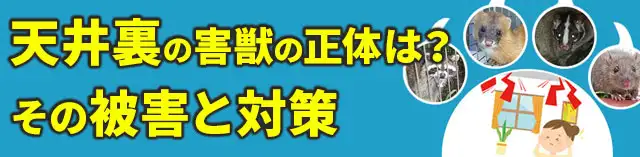 天井裏の害獣の正体は？その被害と対策