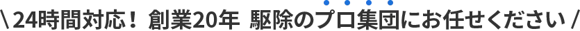 24時間対応!　創業20年　駆除のプロ集団にお任せ下さい