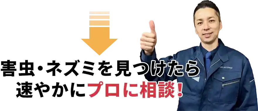 害虫・ネズミを見つけたら速やかにプロに相談