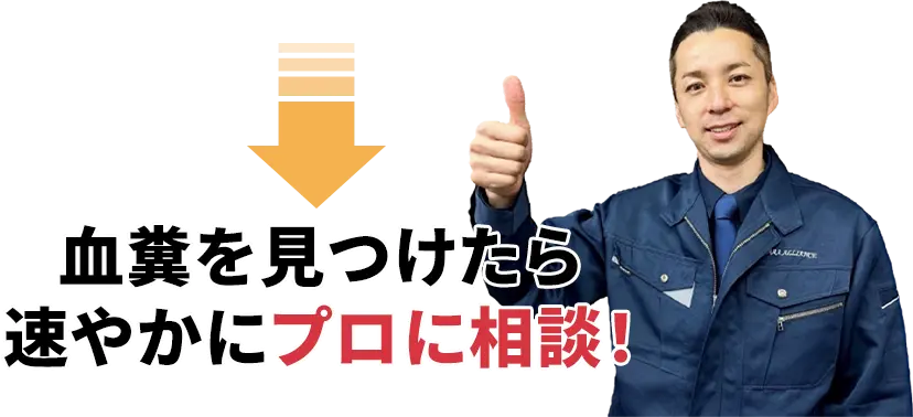 衛生害虫トコジラミの血糞を見つけたら速やかにプロに相談