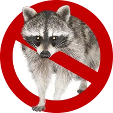 危険な害獣 プロ集団が再発防止・徹底駆除　アライグマアイコン