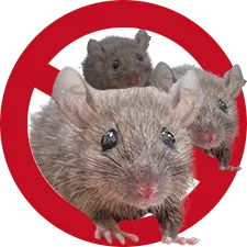 危険な害獣 プロ集団が再発防止・徹底駆除　ネズミアイコン