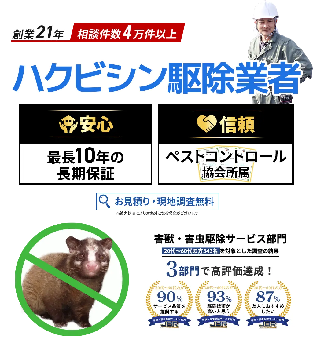 ハクビシン駆除業者　害獣・害虫駆除サービス部門3部門で高評価達成！