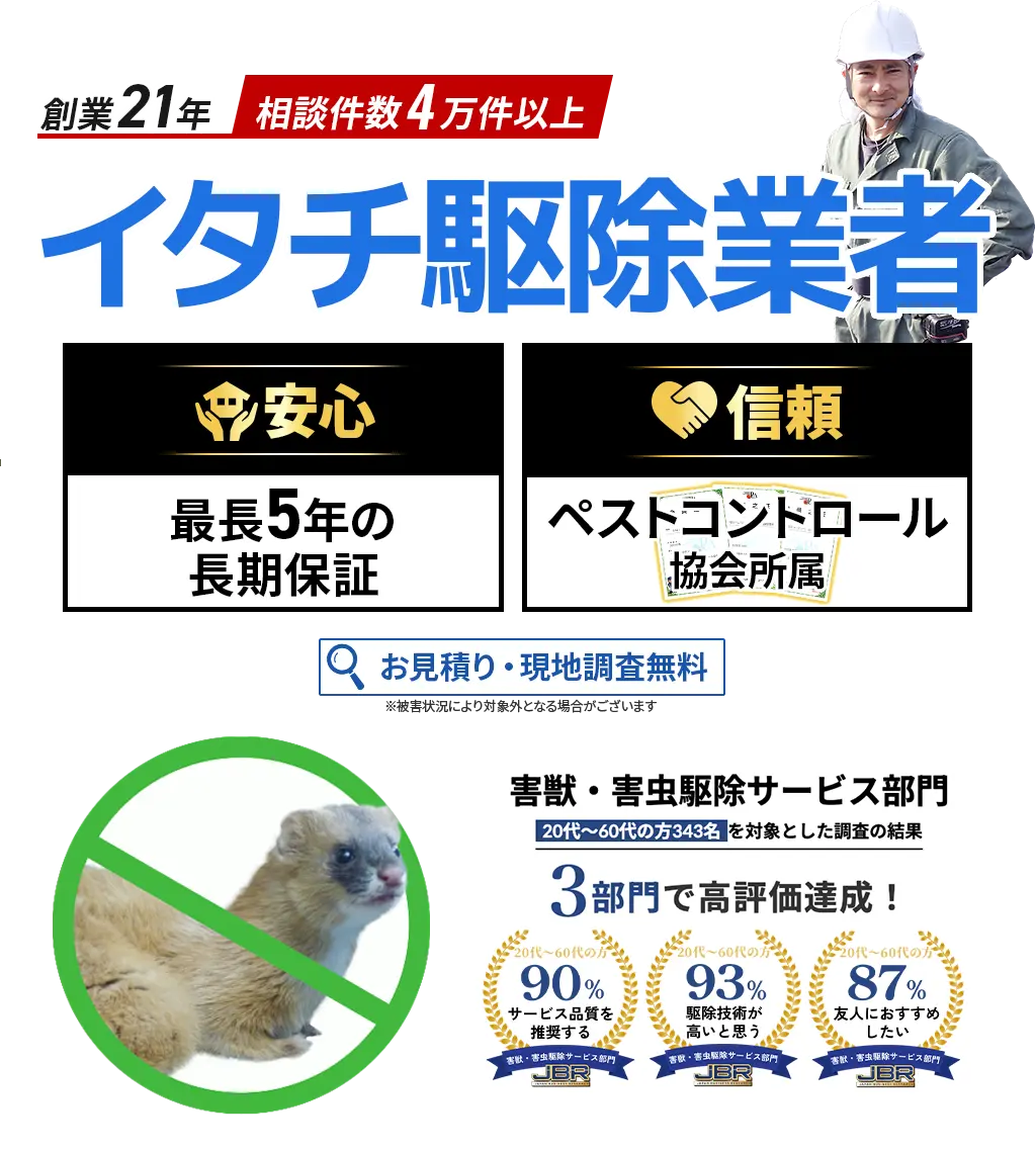 イタチ駆除業者　害獣・害虫駆除サービス部門3部門で高評価達成！
