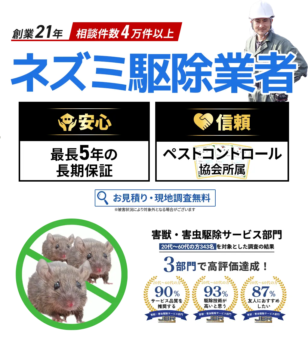 ネズミ駆除業者　害獣・害虫駆除サービス部門3部門で高評価達成！