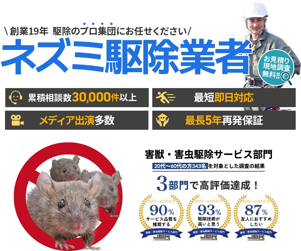 ネズミ駆除業者　害獣・害虫駆除サービス部門3部門で高評価達成！