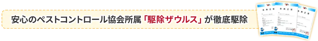 駆除業者2　安心のペストコントロール協会所属「駆除ザウルス」が徹底駆除