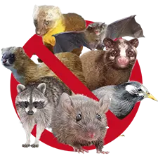 危険な害獣 プロ集団が再発防止・徹底駆除　害獣アイコン