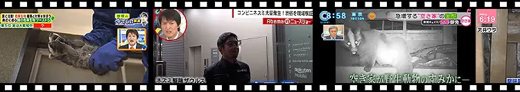 実績で選ぶプロの害獣・害虫駆除業者の駆除ザウルスはテレビで紹介されました